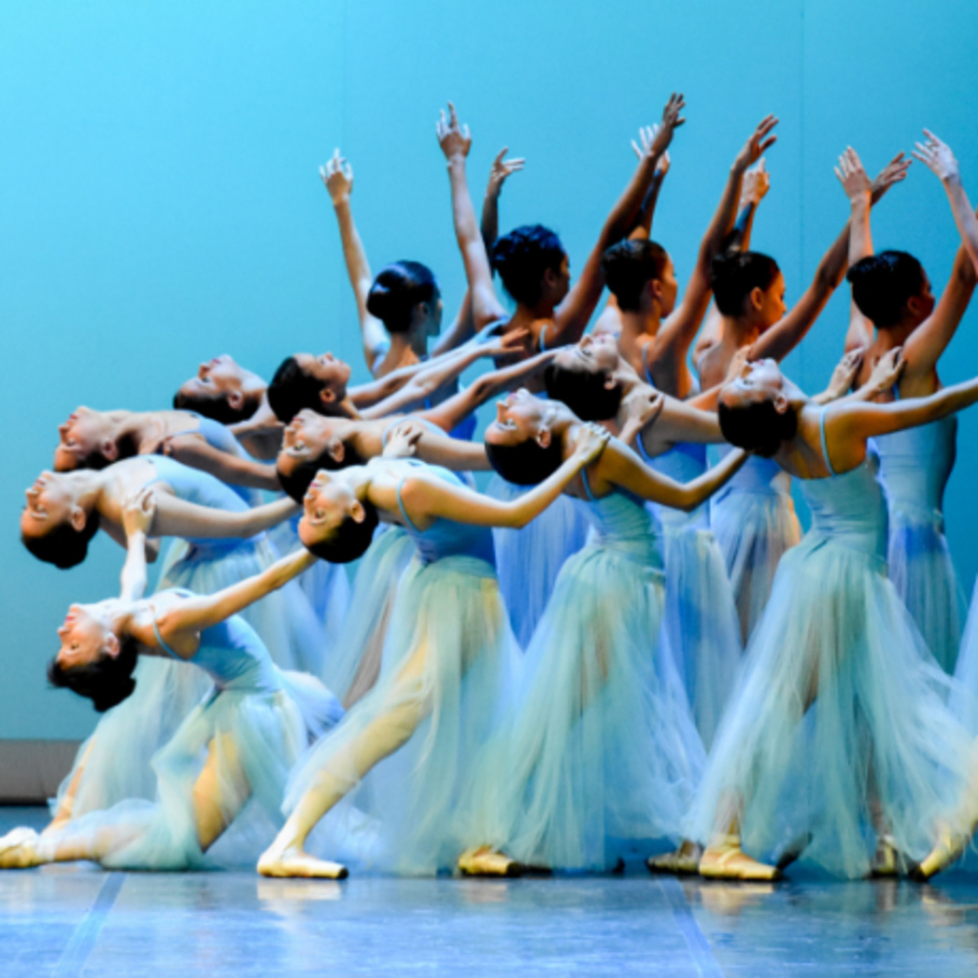 programayolotransformo