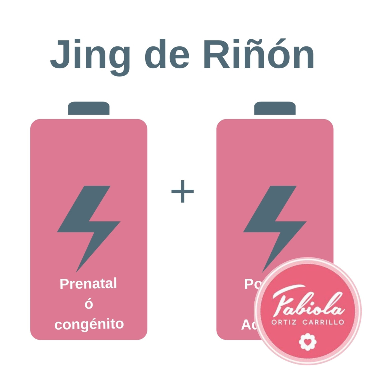 Tu batería de vida – Tus Riñones