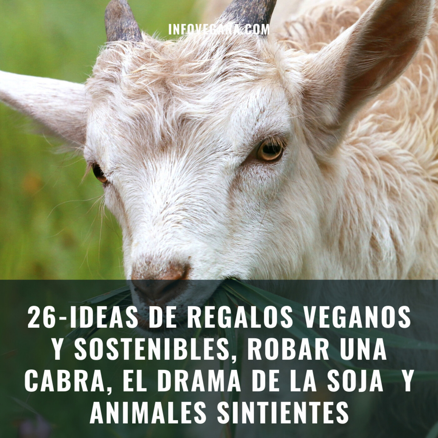 Infovegana, podcast de veganismo y sostenibilidad