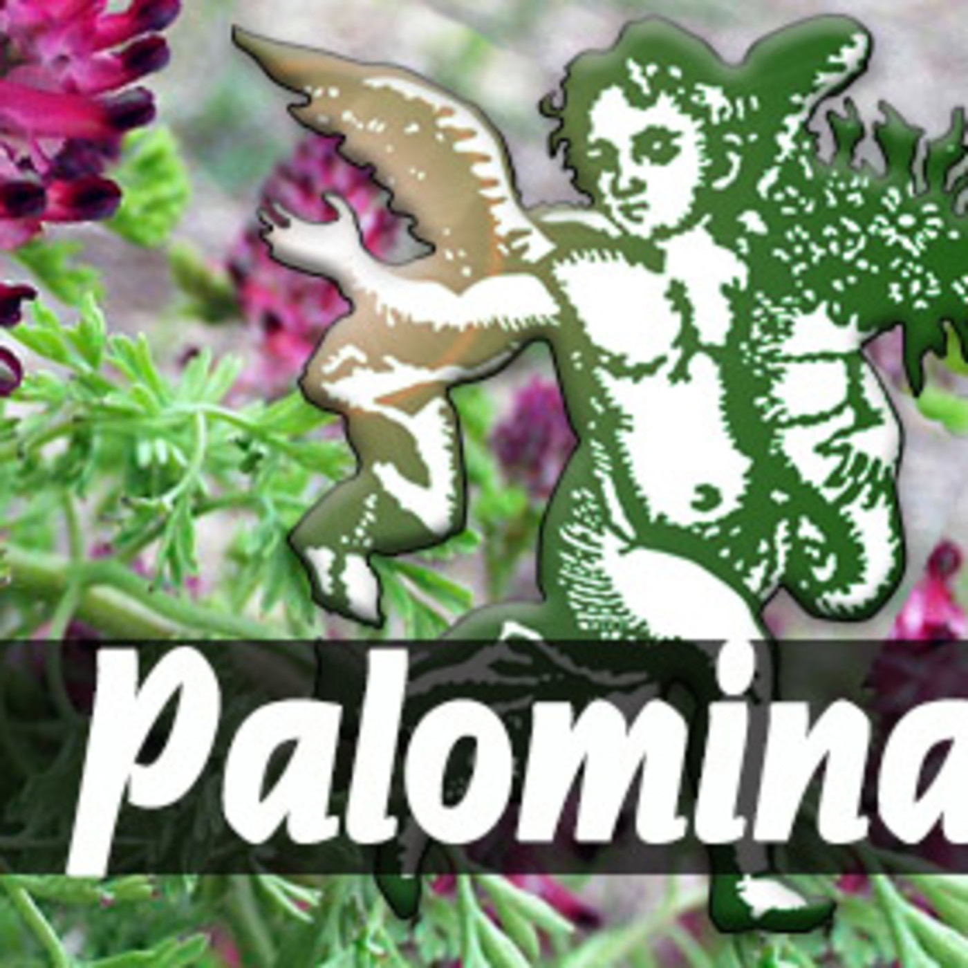 El Ángel de tu Salud - PALOMINA episode artwork