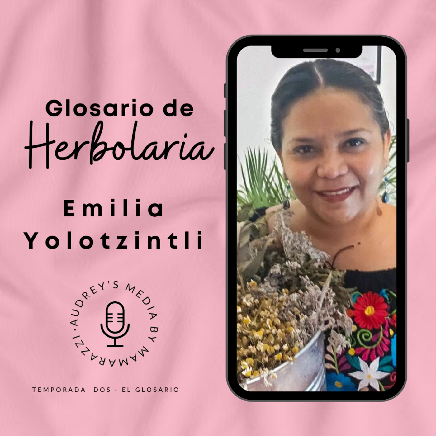 Audrey’s Media by Mamarazzi