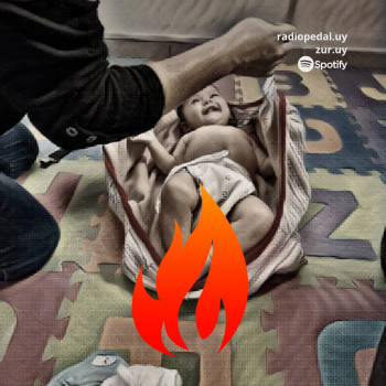 embed image