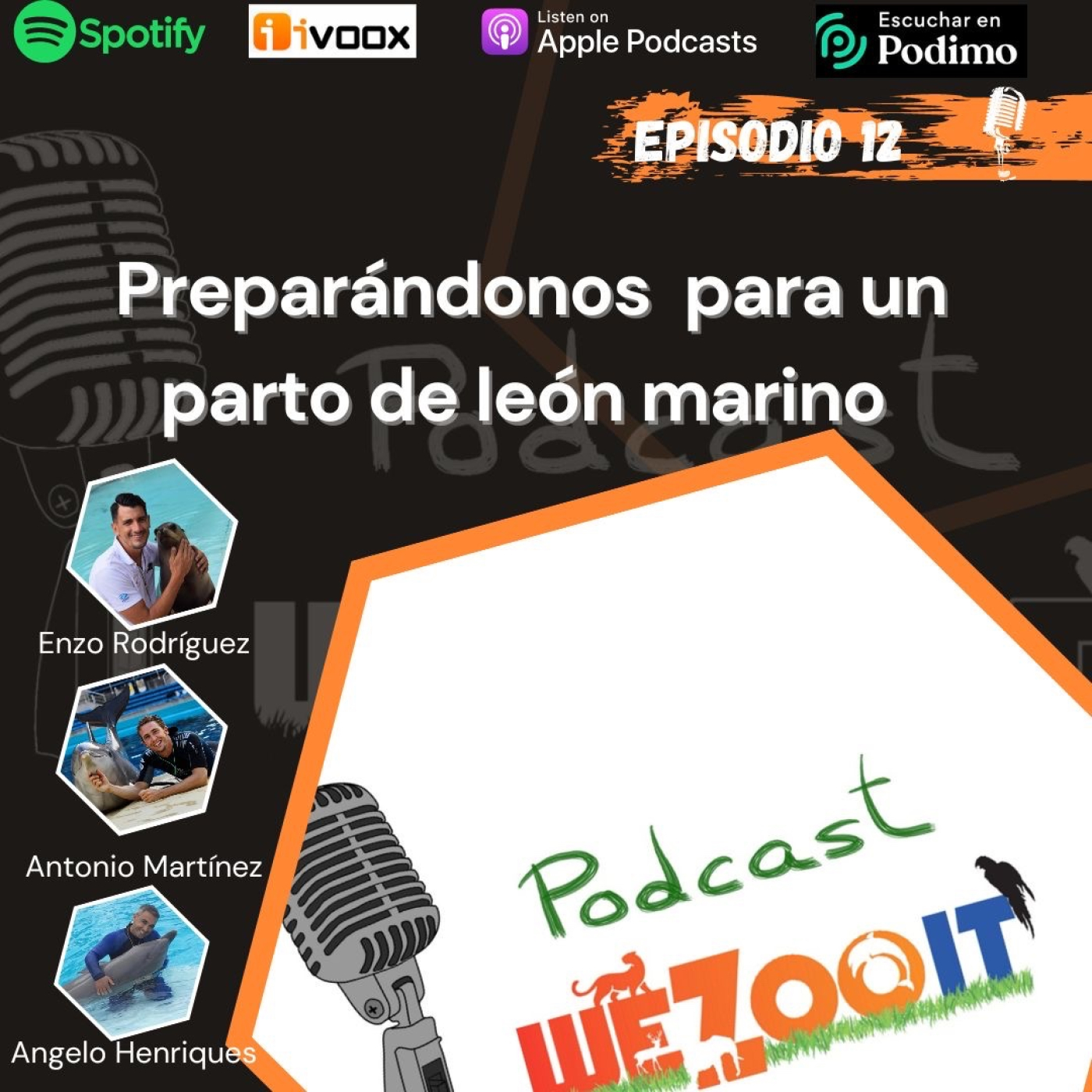 WeZooit Podcast