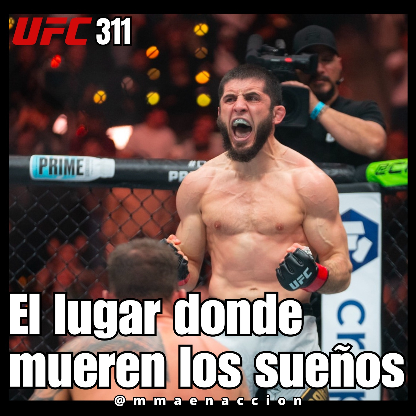 MMA en acción