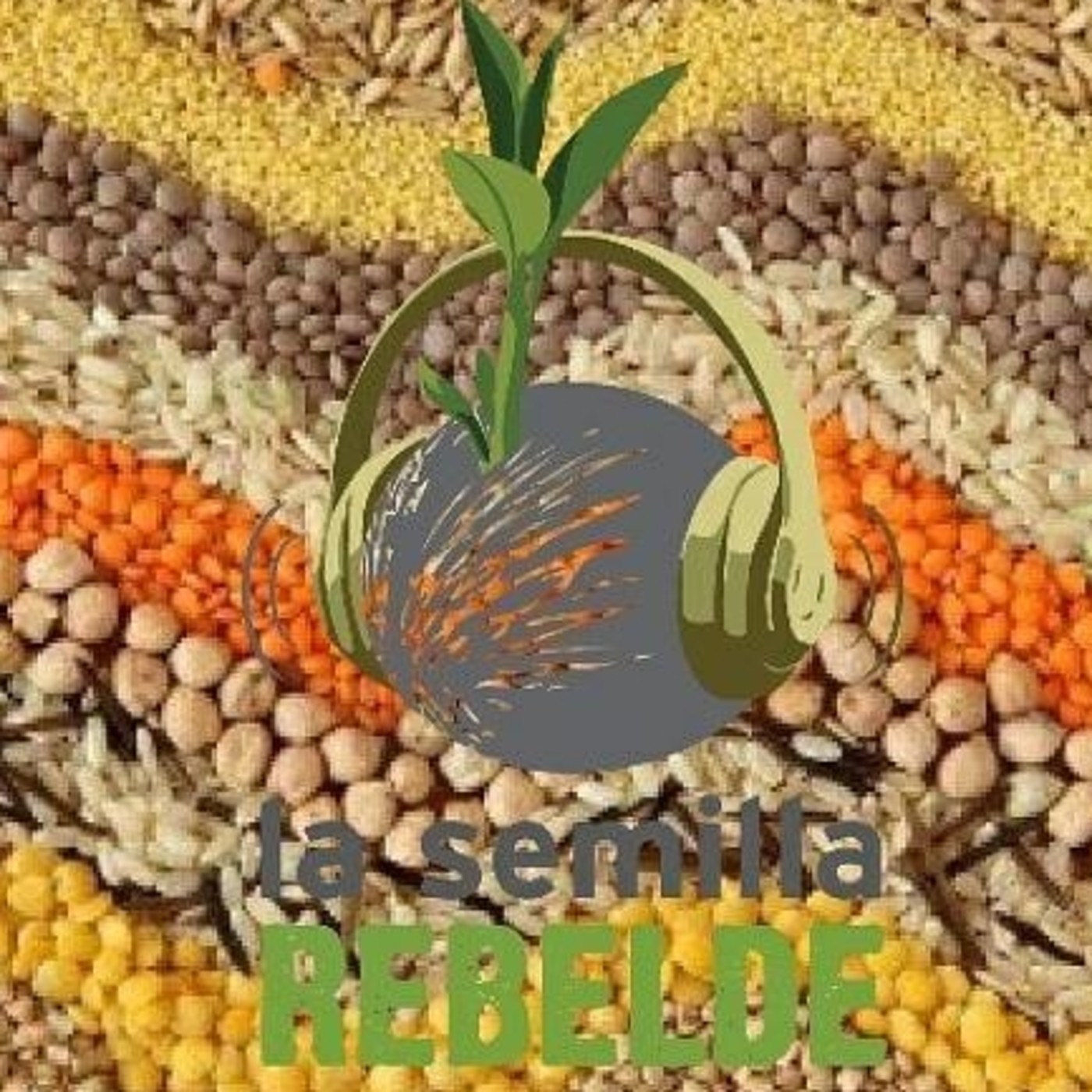 #LaSemillaRebelde (2.4.2018) - #Córdoba - #ConcienciaSolidaria episode artwork