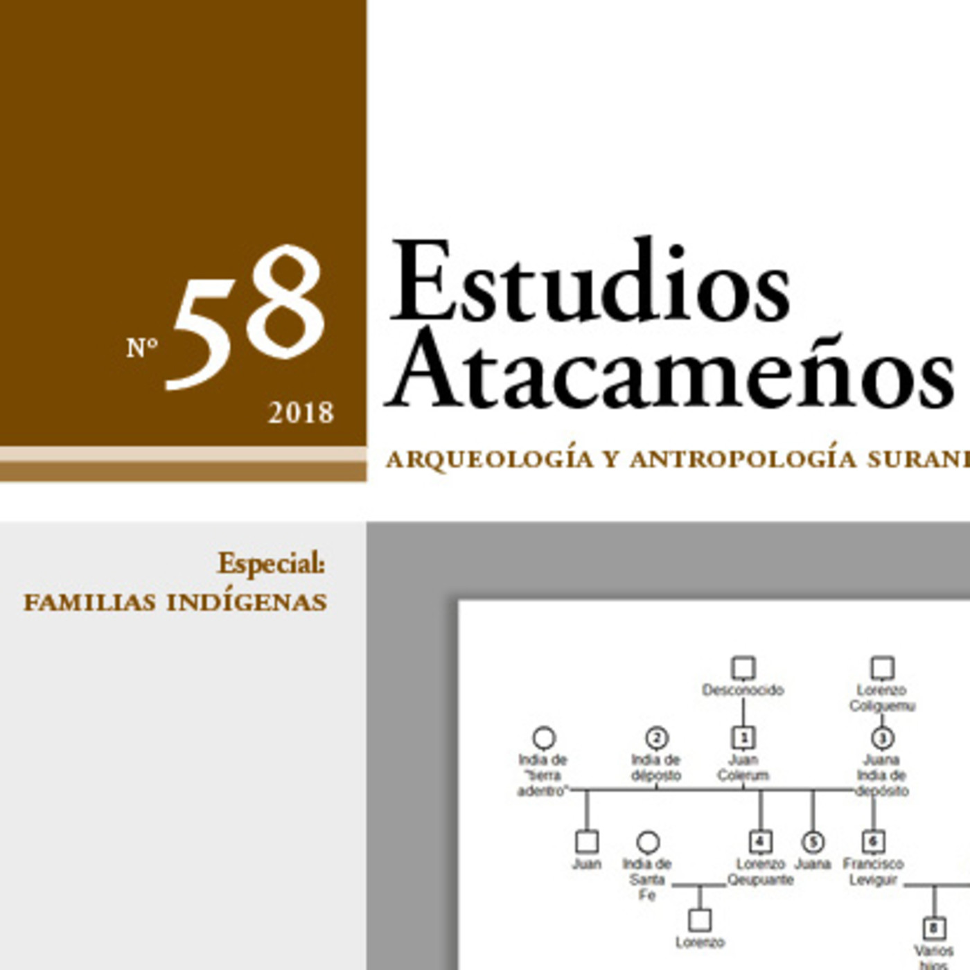 Estudios Atacameños
