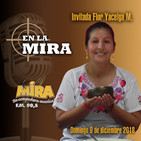 embed image
