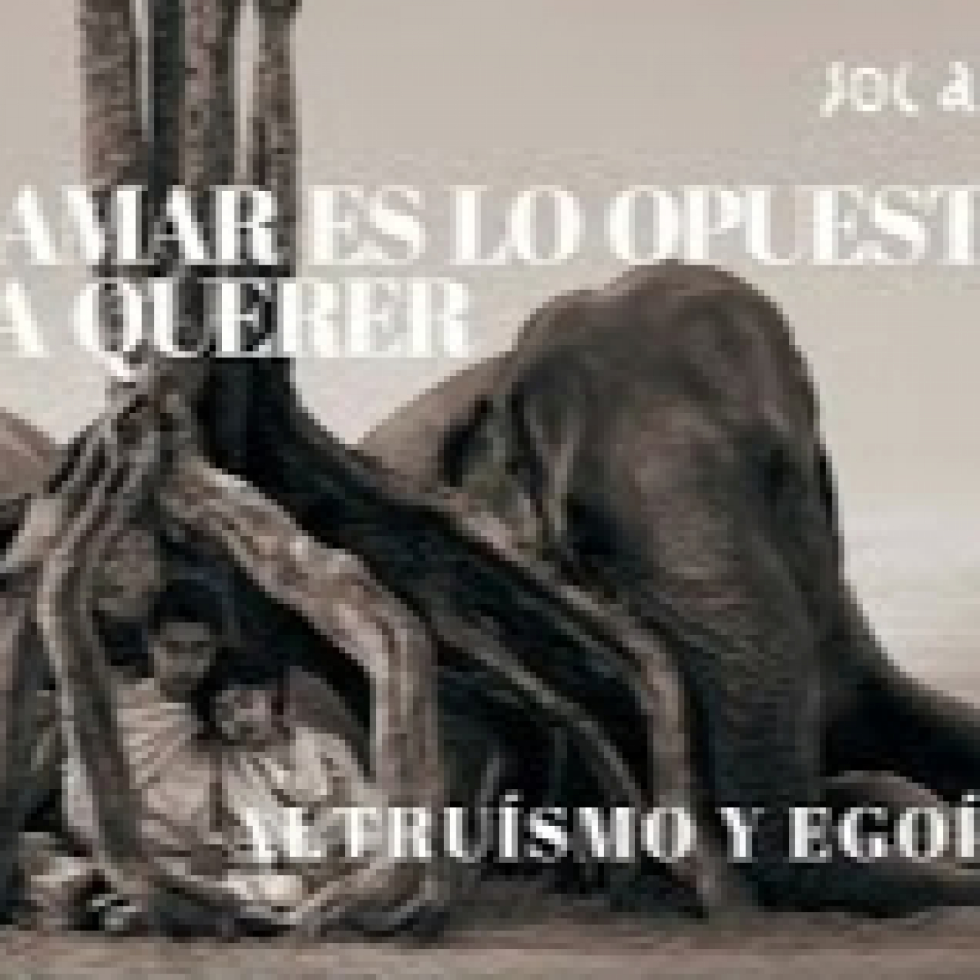 AMAR ES LO OPUESTO A QUERER. ALTRUÍSMO Y EGOÍSMO episode artwork