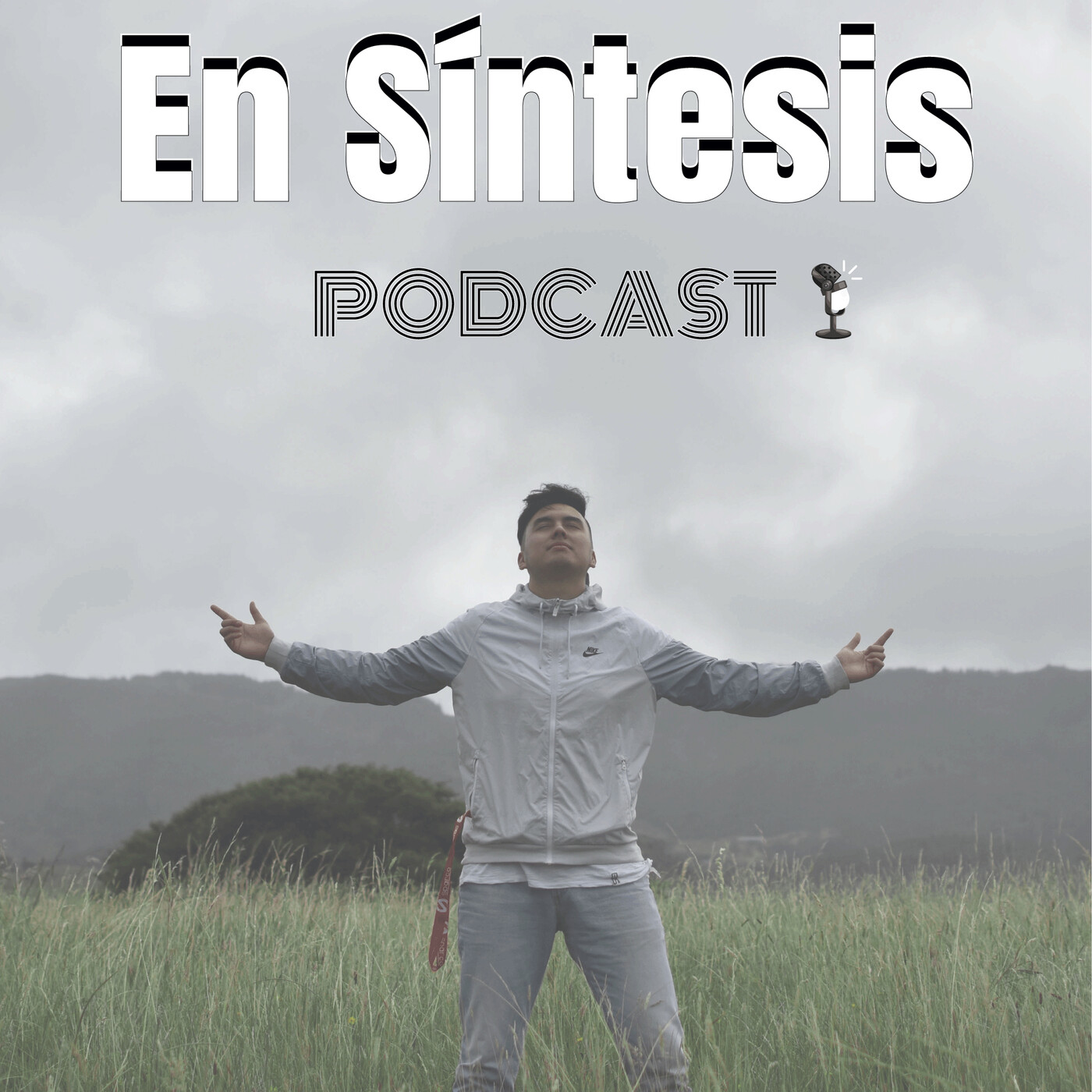 En Síntesis