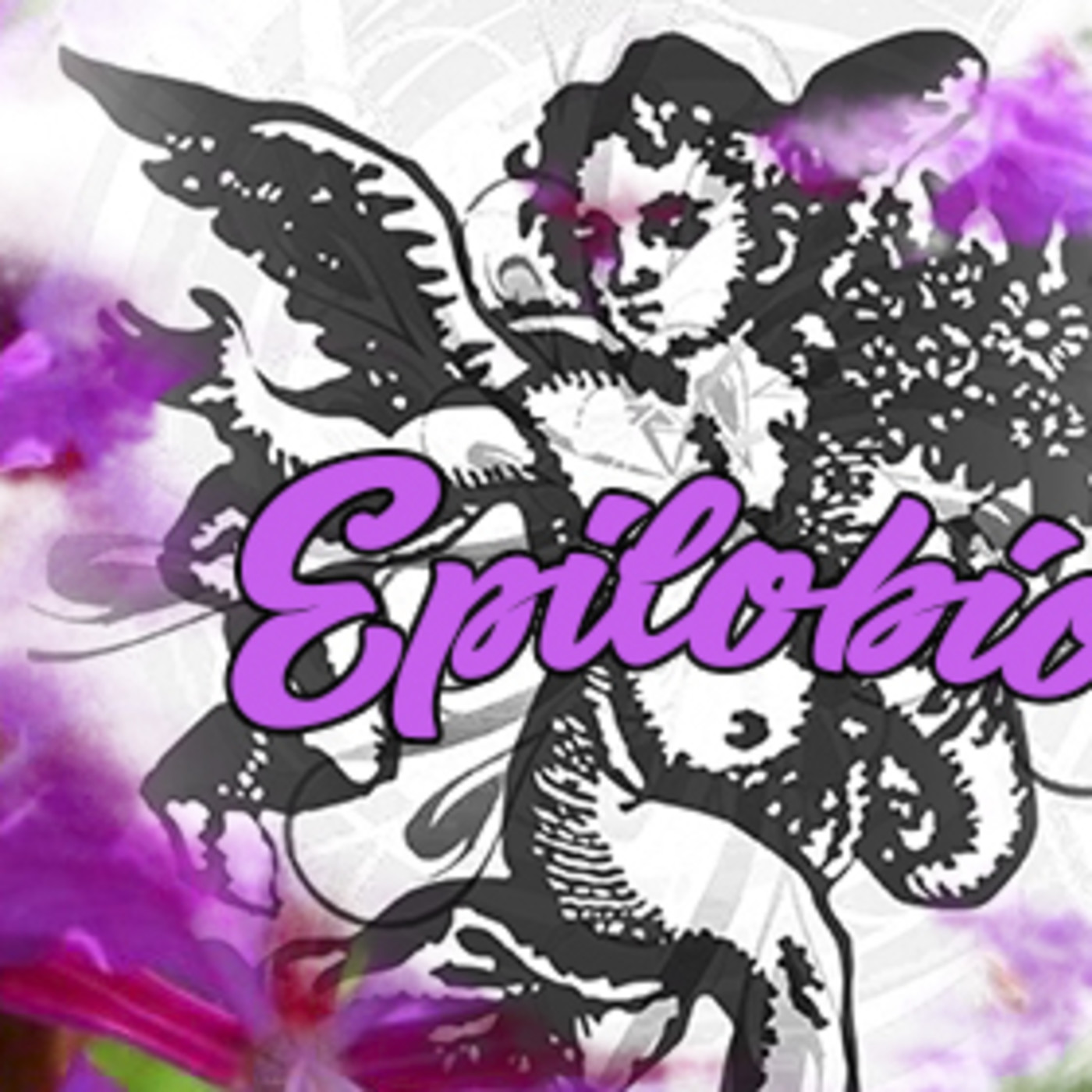El Ángel de tu Salud - EPILOBIO episode artwork