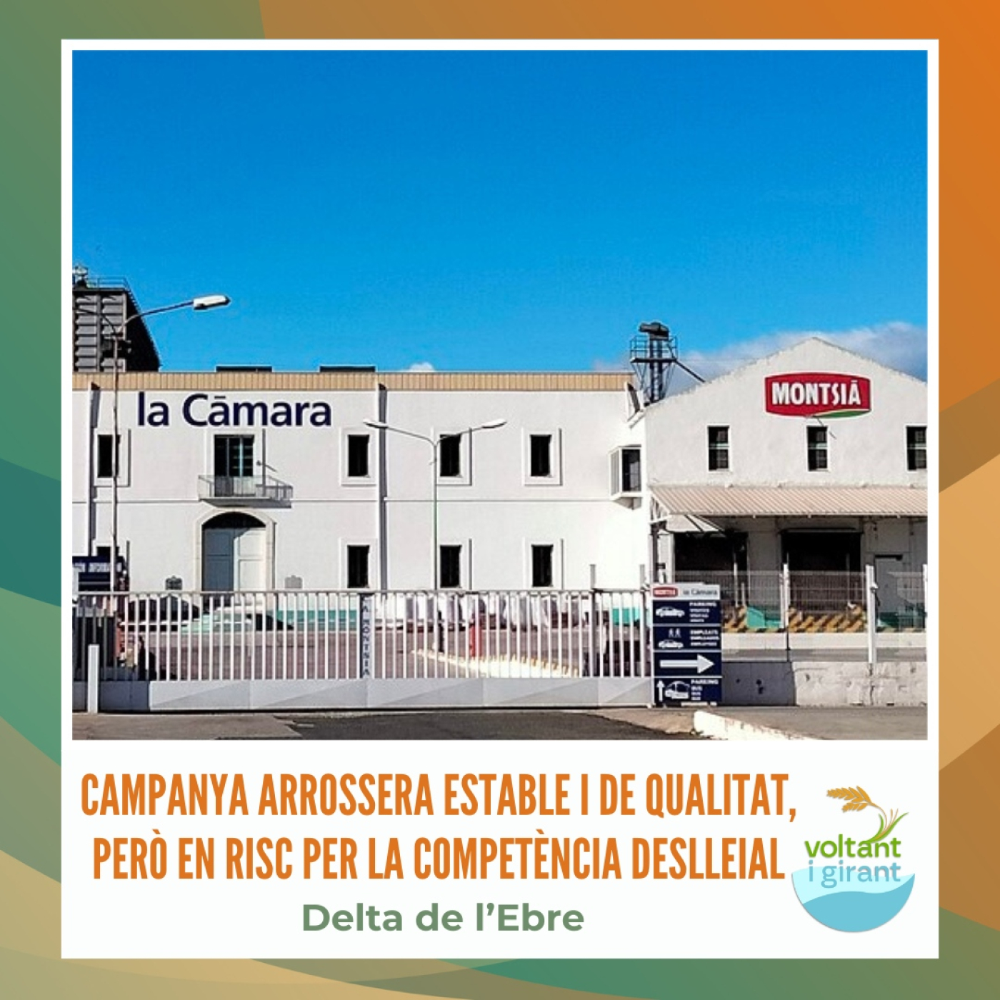 Campanya arrossera estable i de qualitat, però en risc per la competència deslleial episode artwork