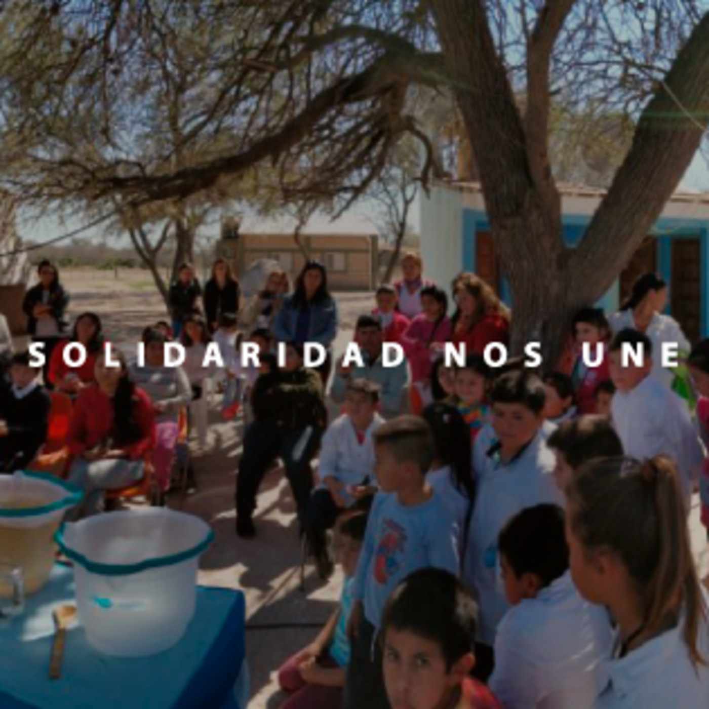 programayolotransformo