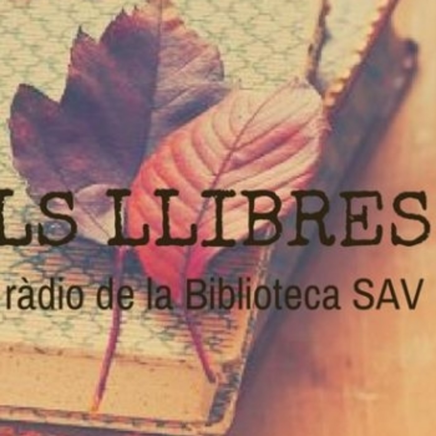 L\'Ànima dels llibres
