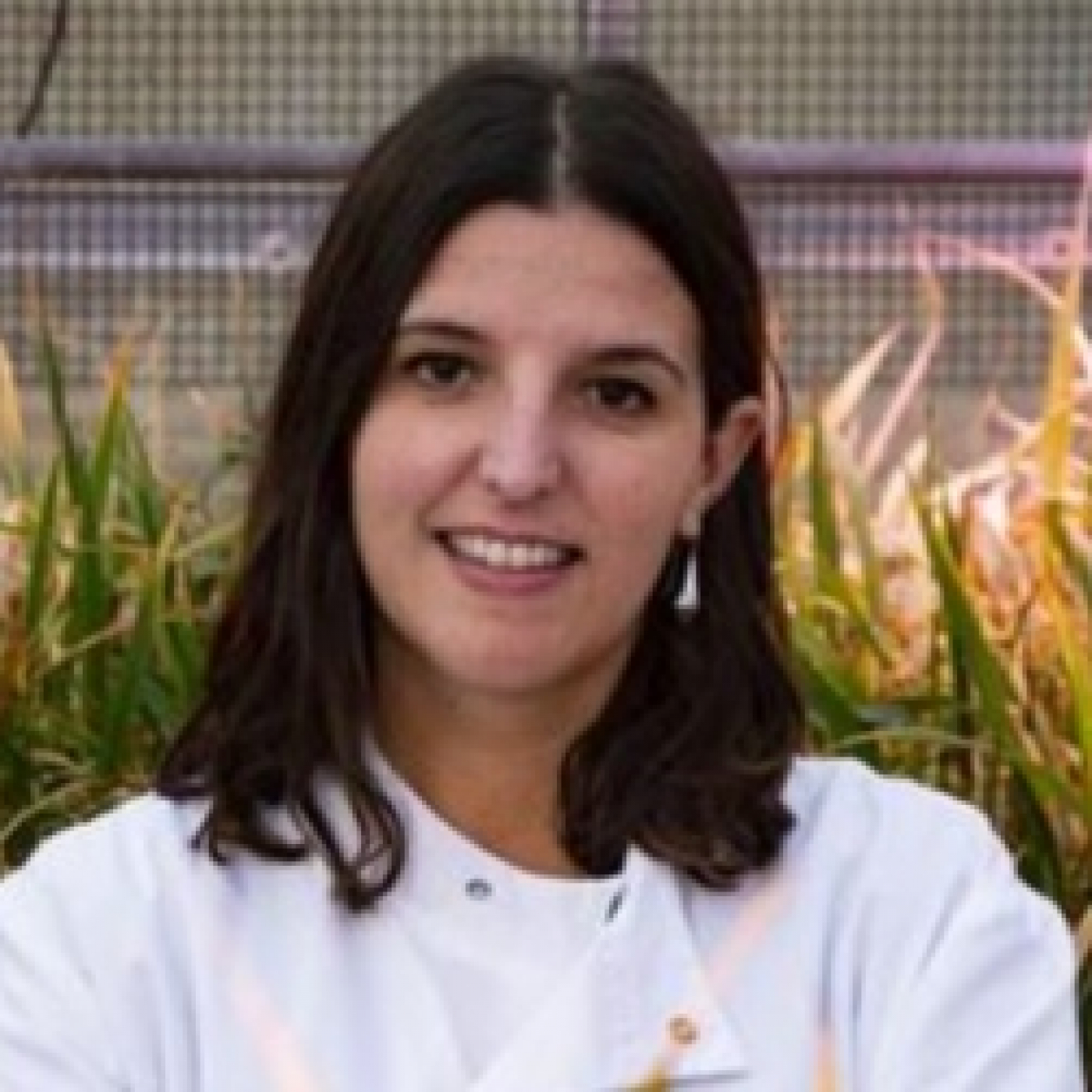 La UPNA en las ondas