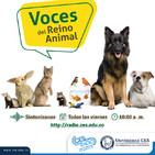 Mitos sobre la fauna silvestre