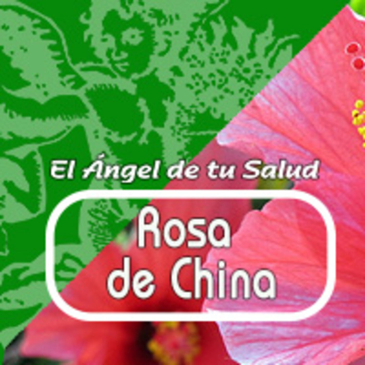El Angel de tu Salud - ROSA DE CHINA *** episode artwork