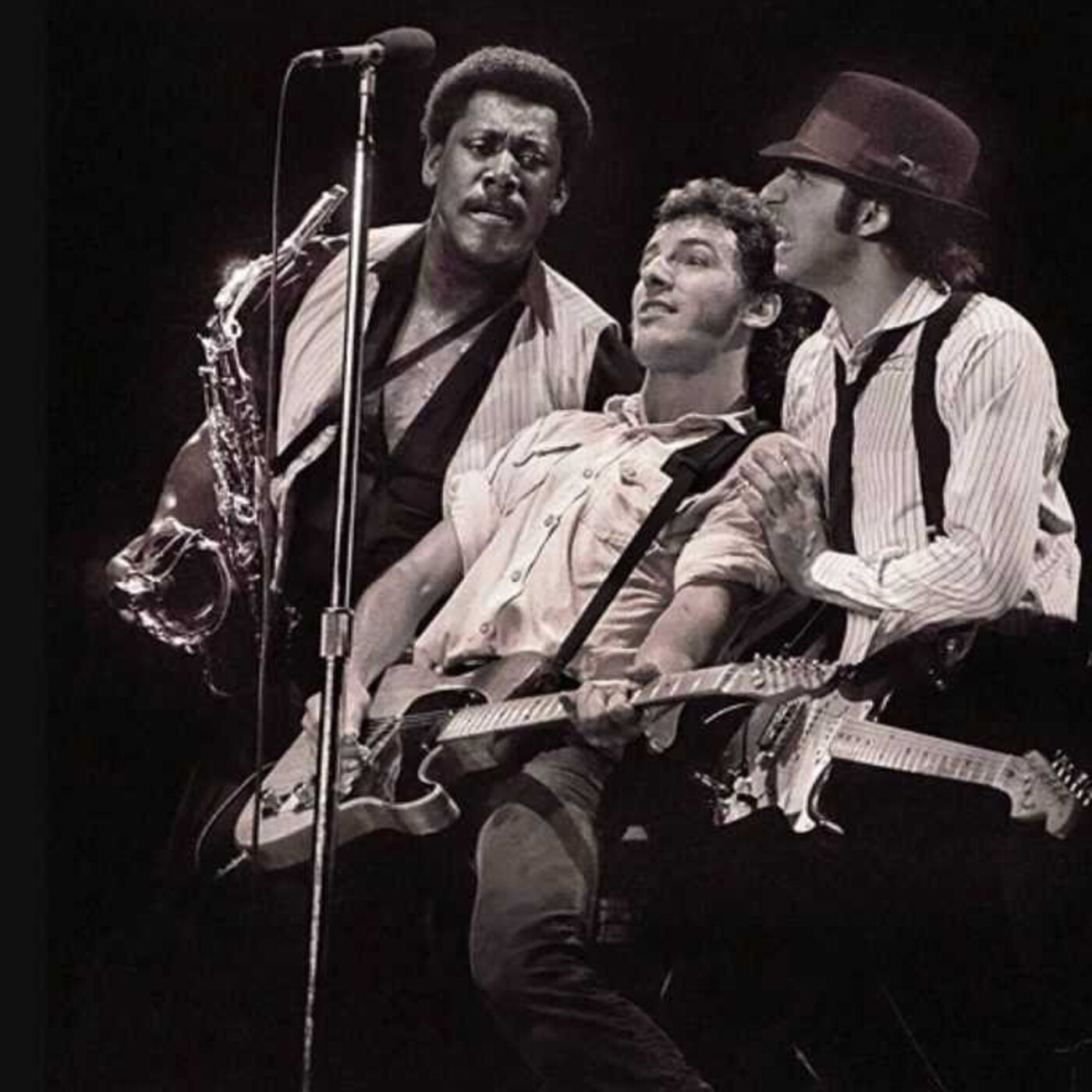 Els Fans de Bruce Springsteen