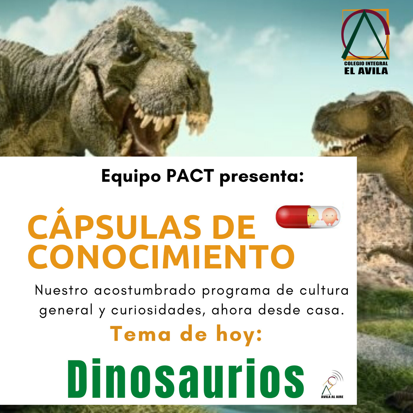 PACT - Cápsulas de conocimiento