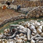 Ecos de la Palabra - 27º Domingo del Tiempo Ordinario - Ciclo A