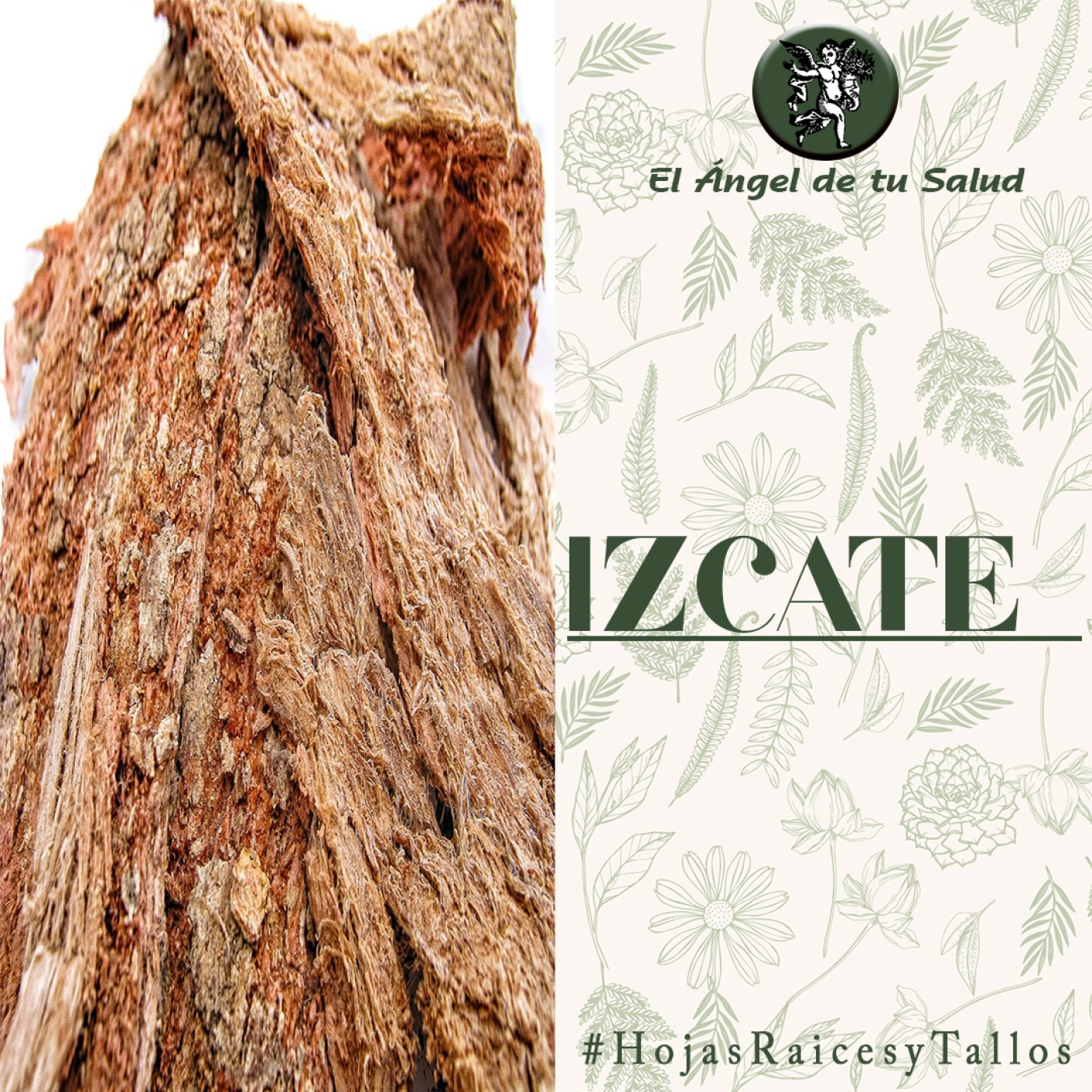 El Ángel de tu Salud - Izcate** episode artwork