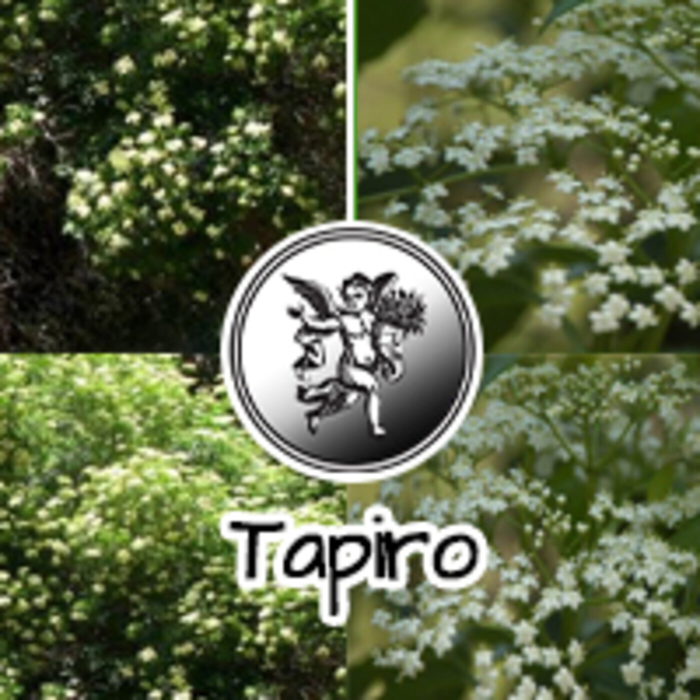 El Angel de tu Salud - TAPIRO **** episode artwork