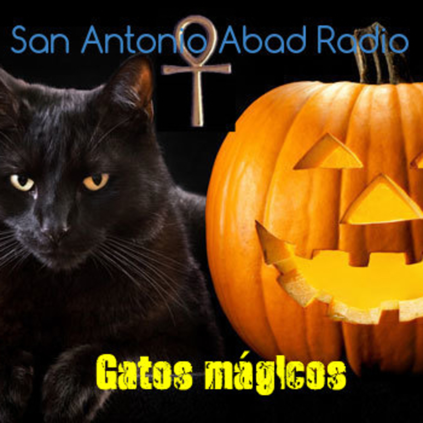 Podcast Mascotero - Mundo animal