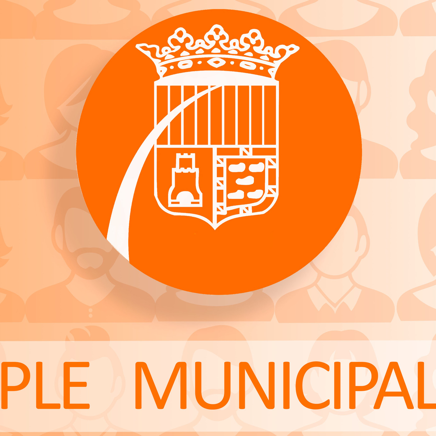 Ple municipal de novembre. Sense talls episode artwork
