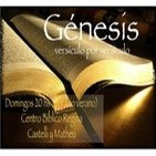 Génesis 8 - Se acordó Dios de Noé - estudio 15