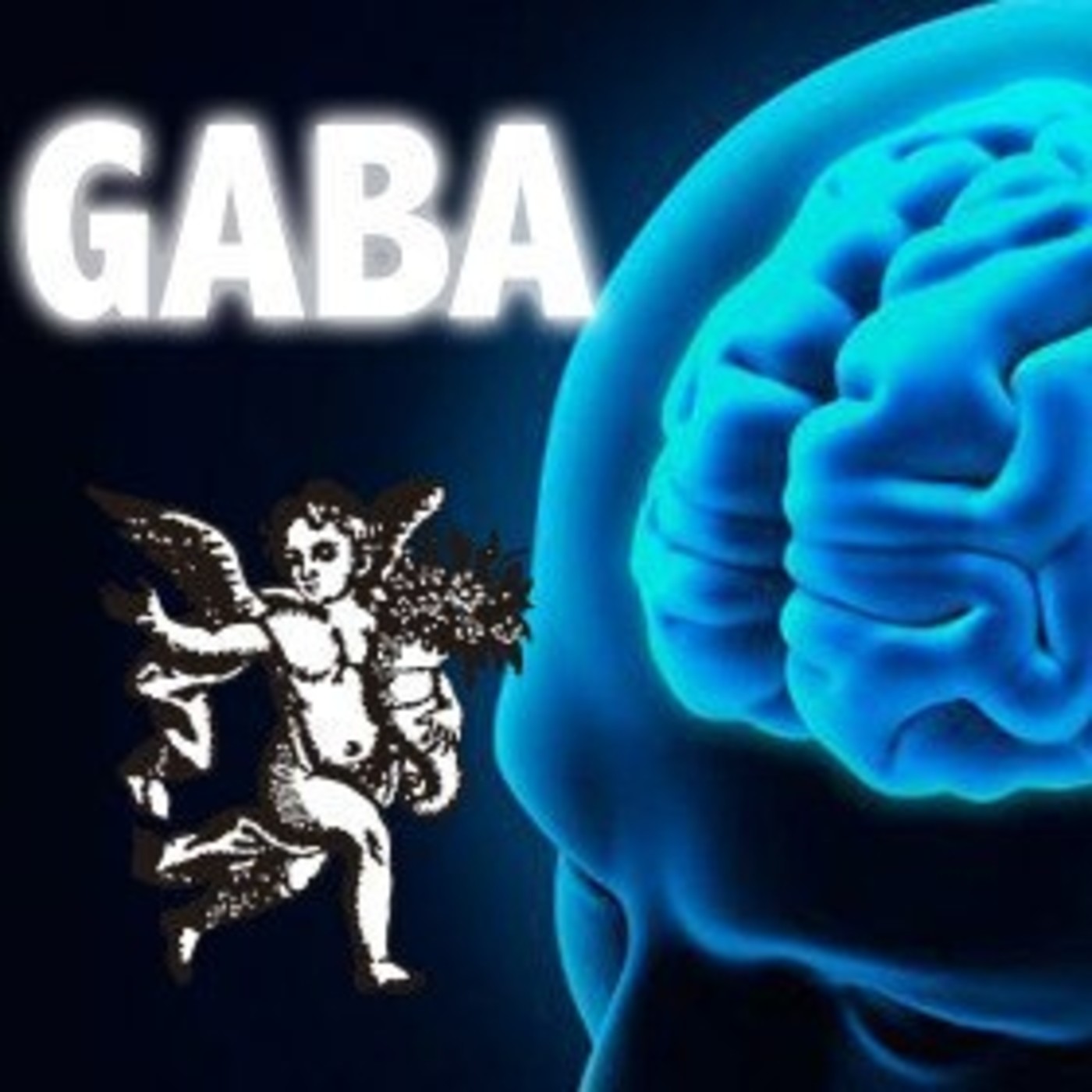 El Ángel de tu Salud - CÁPSULAS DE GABA episode artwork