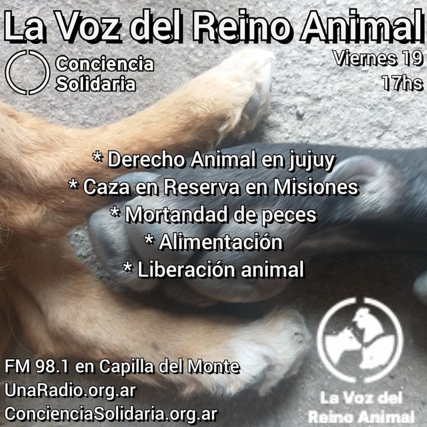 #LaVozDelReinoAnimal 19.06.2020 episode artwork