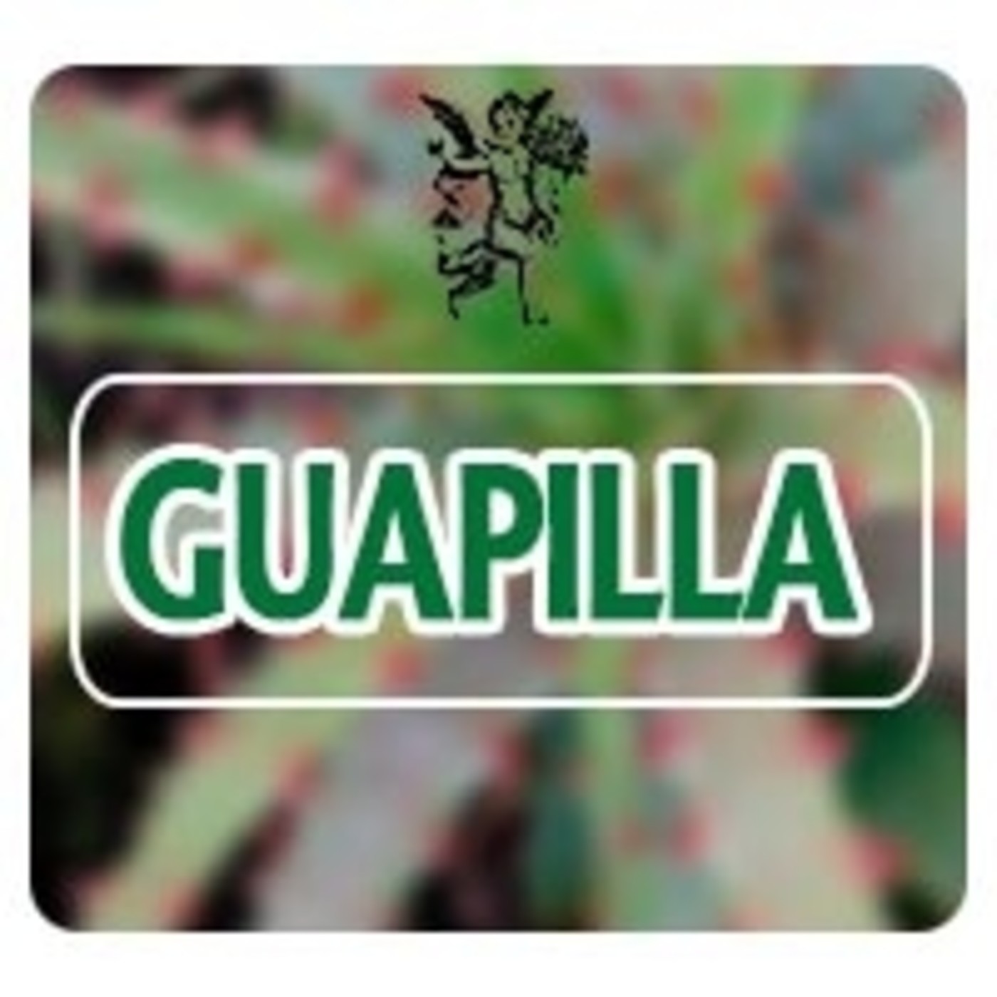 El Angel de tu Salud - GUAPILLA* episode artwork