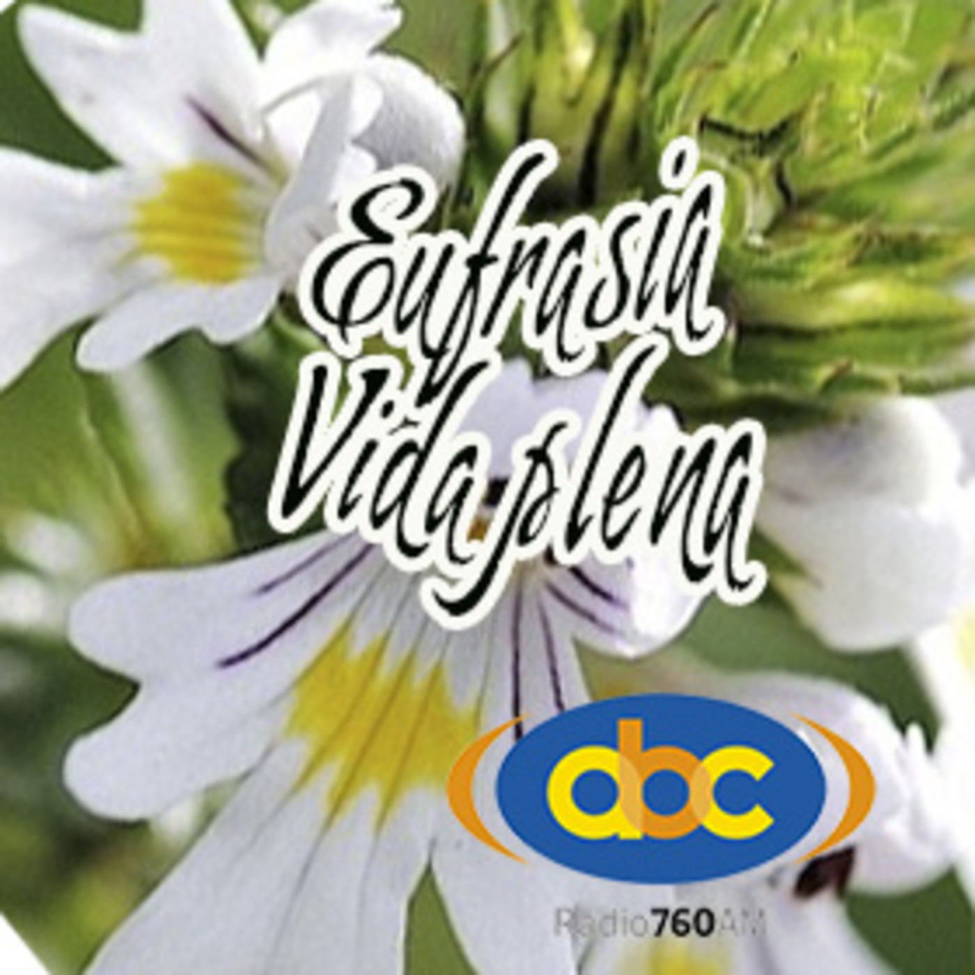 El Ángel de tu Salud - VIDA PLENA episode artwork