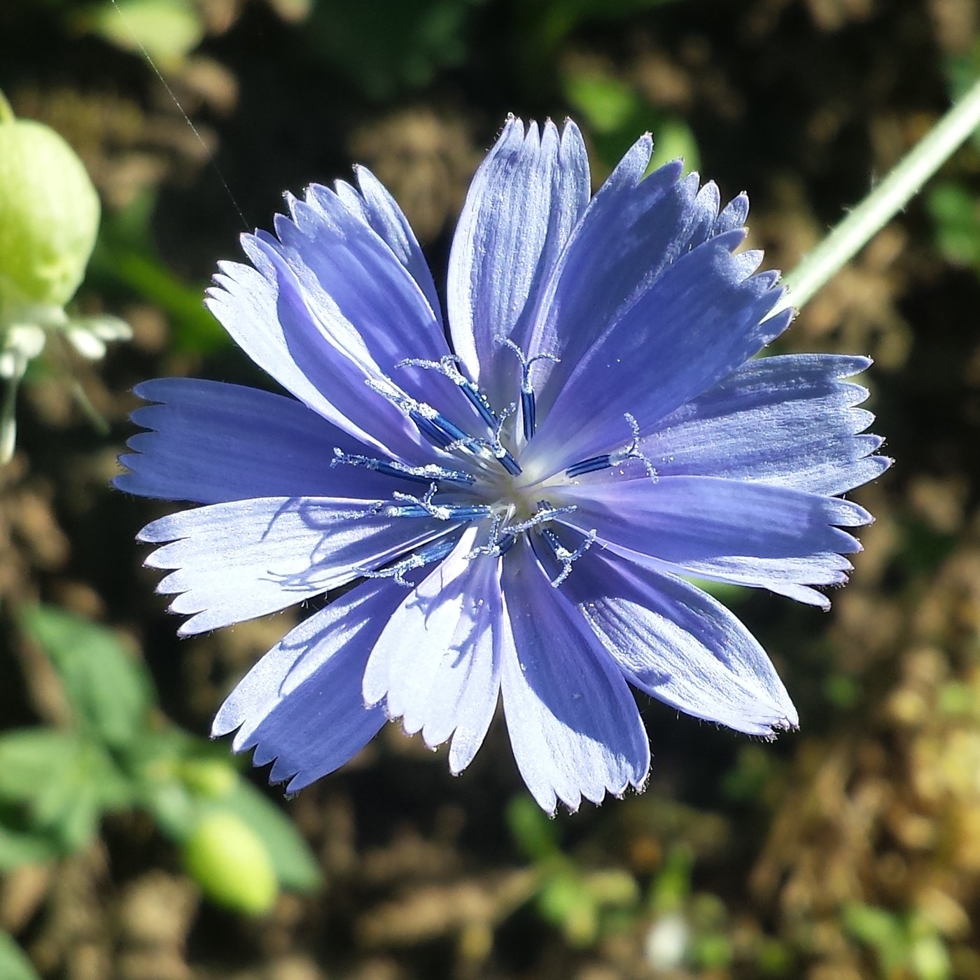 Nuestra Mente es Maravillosa