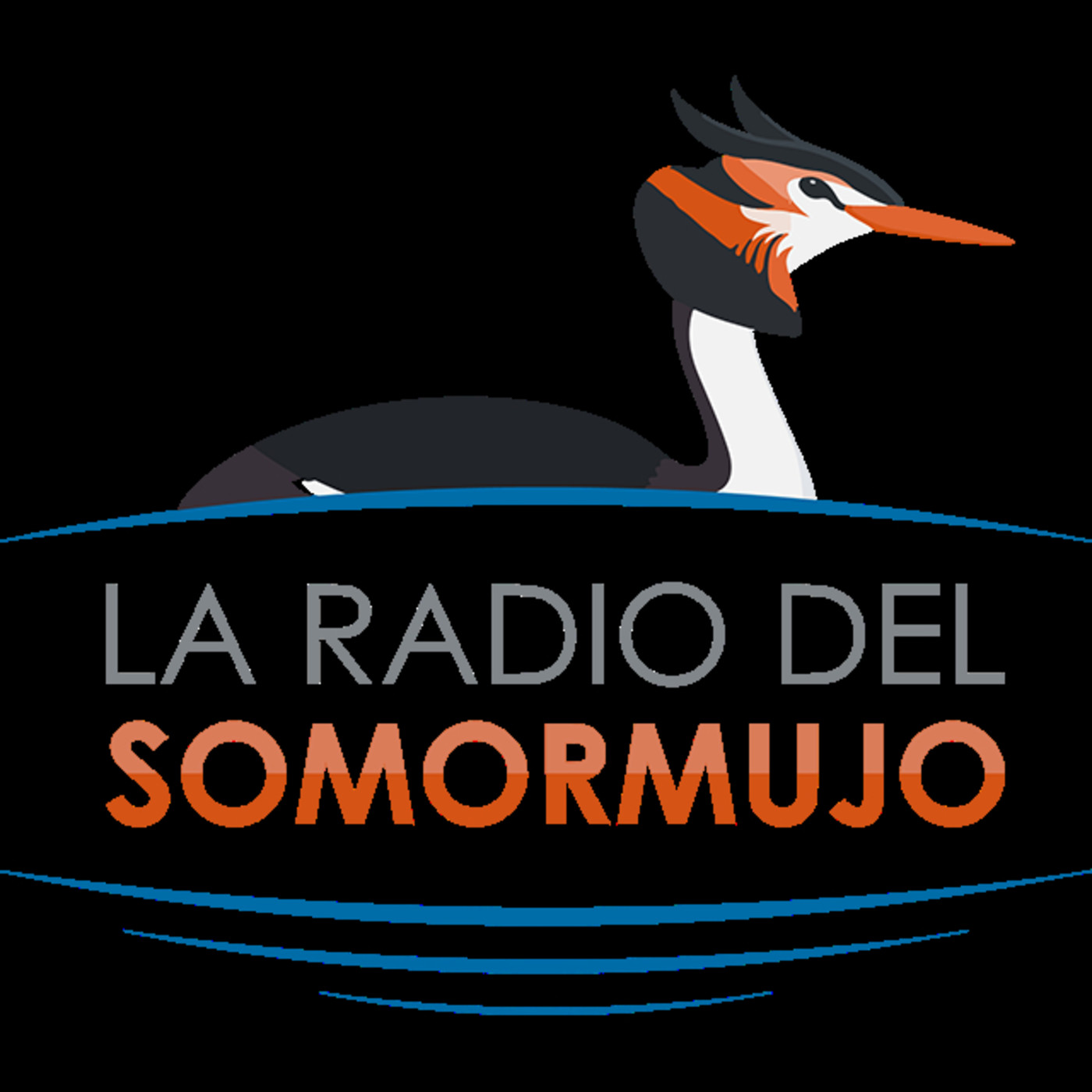 La Radio del Somormujo