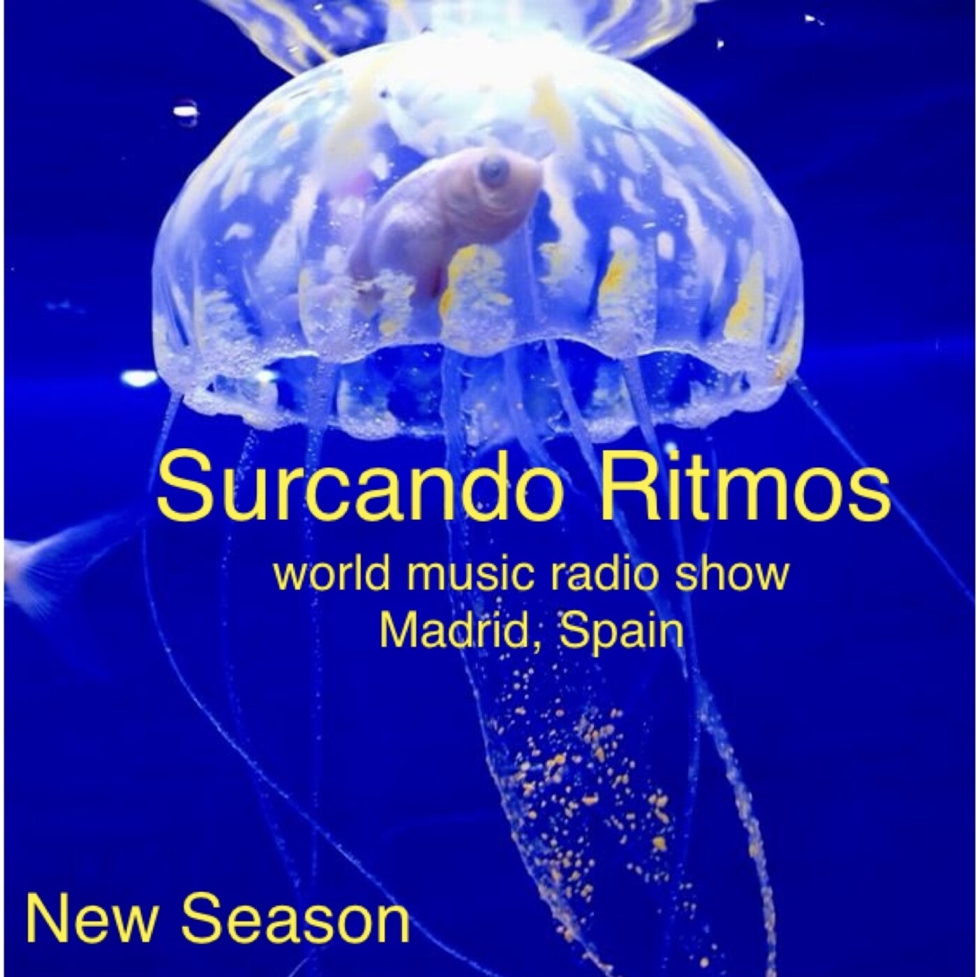 Surcando Ritmos