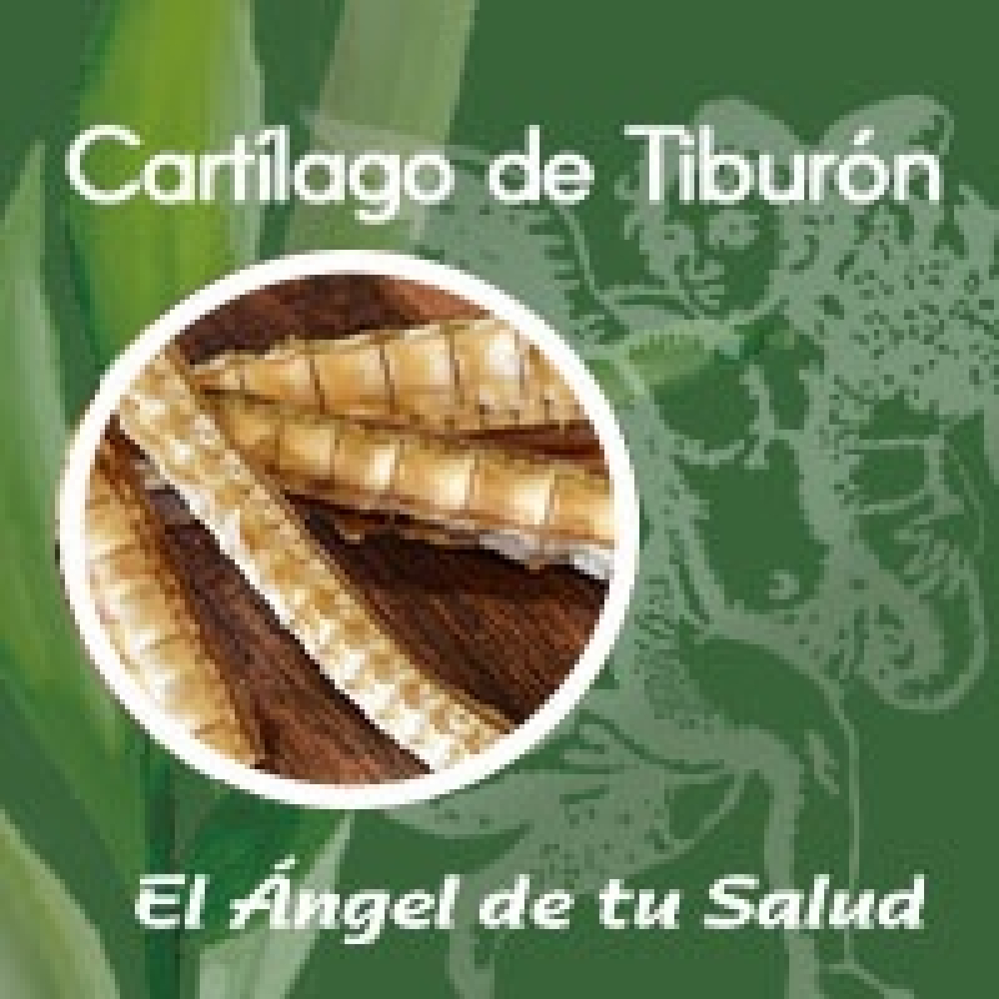 El Ángel de tu Salud - Cartílago de Tiburón ** episode artwork