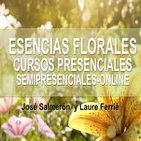 Esencias florales, Cursos presenciales, Semipresenciales online - José Salmerón y Laure Ferrié