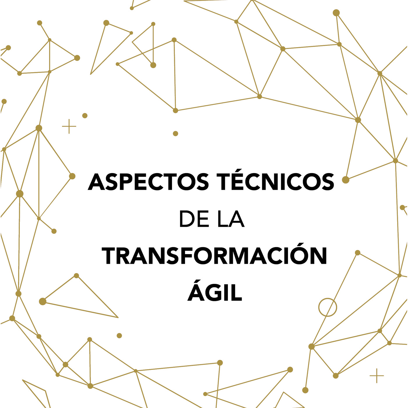 Aspectos técnicos de la transformación ágil