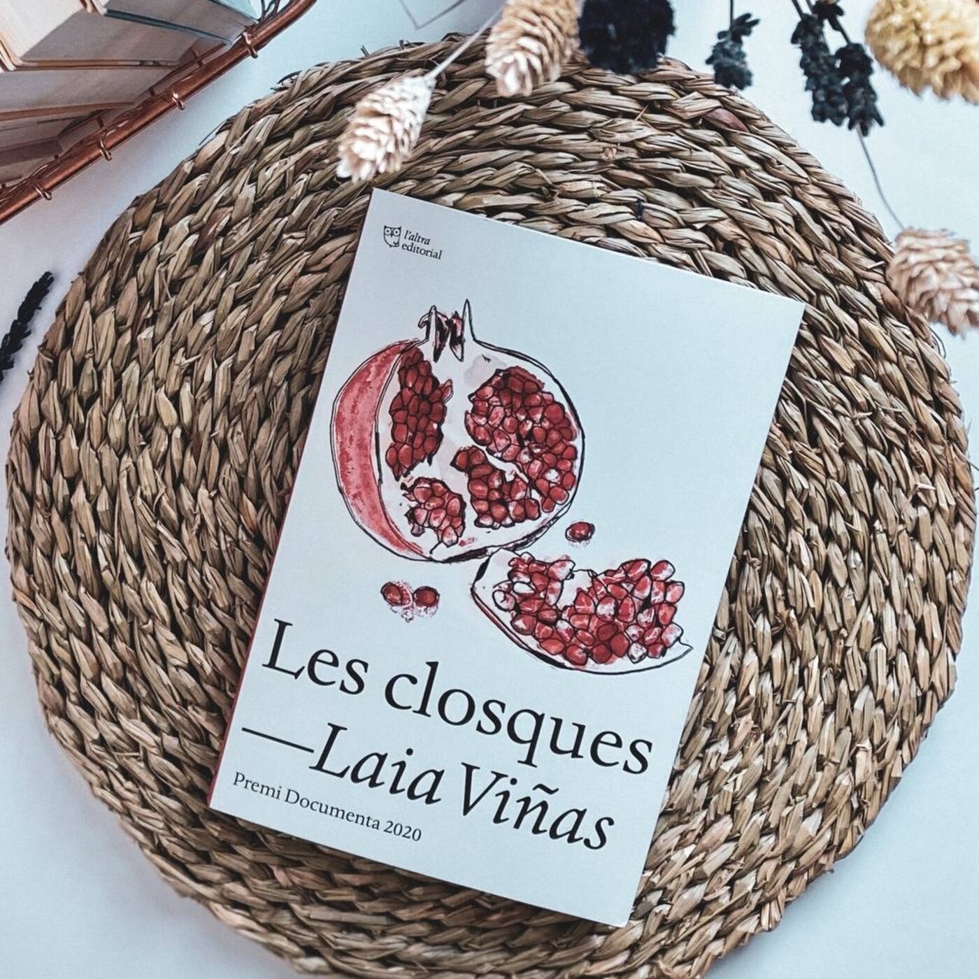'Les closques', de Laia Viñas episode artwork