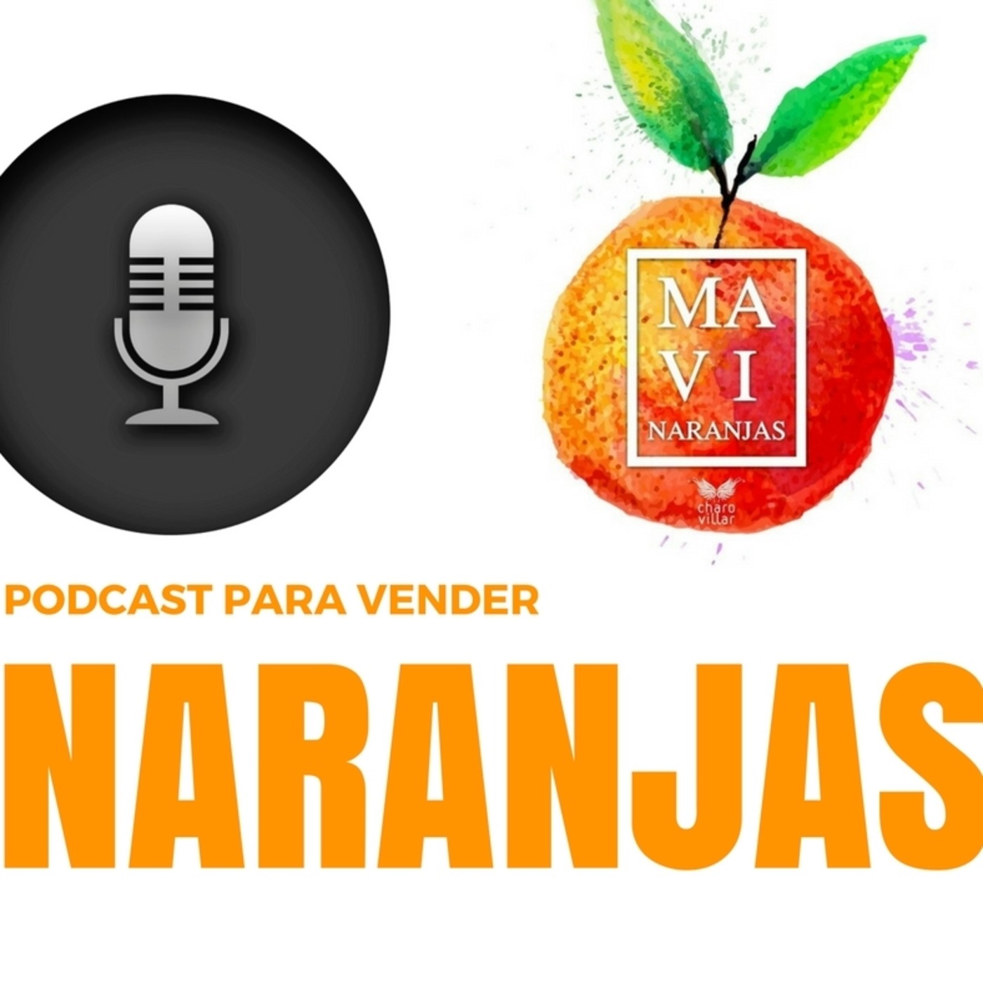 PRODUCCIONES SONORAS