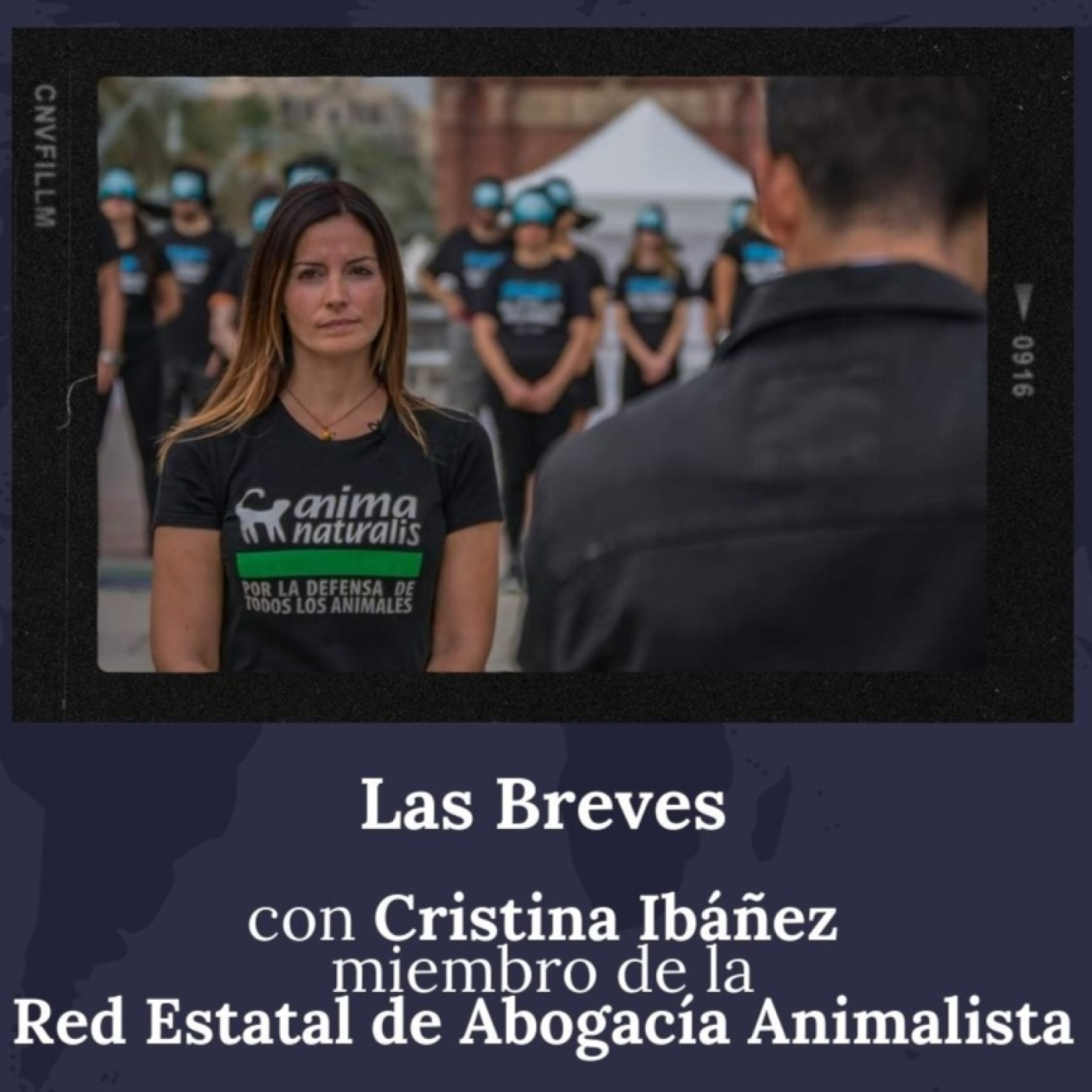 Todos Somos Animales News