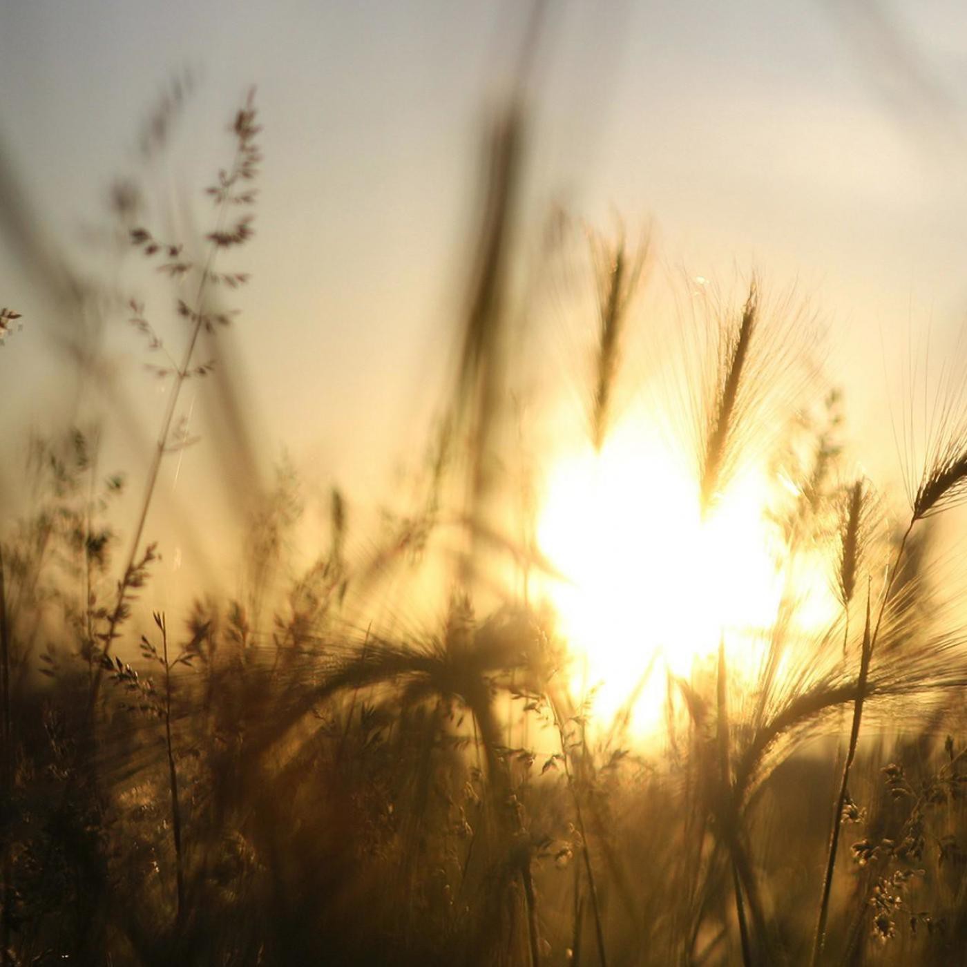 Álbum Meditaciones Con Jesús-Música Católica