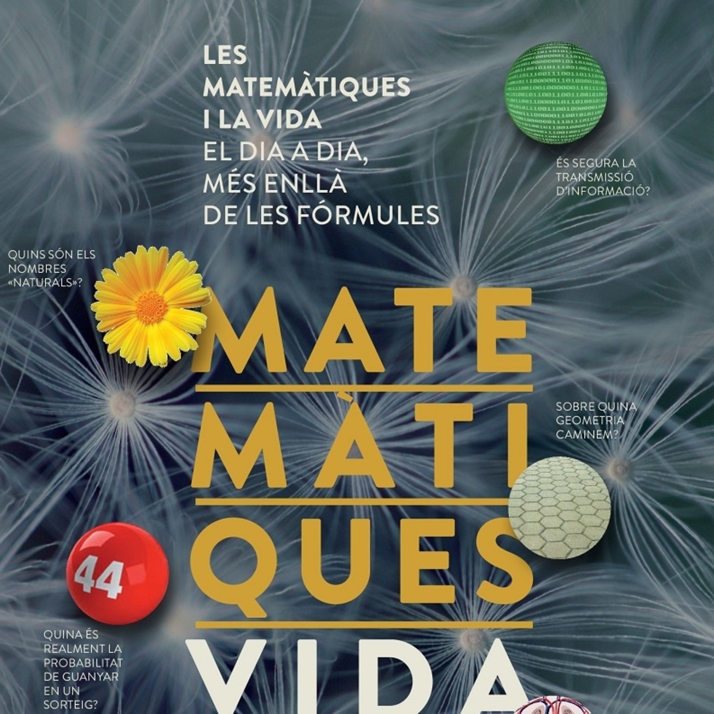 Hora del Peix Fregit