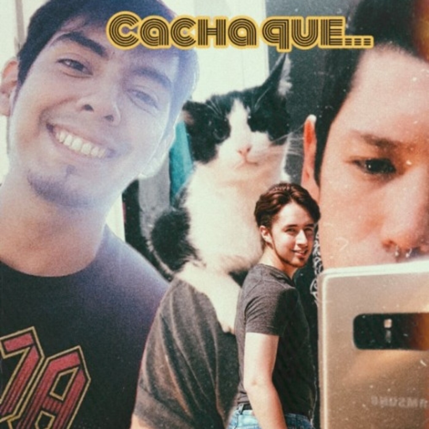 cacha que