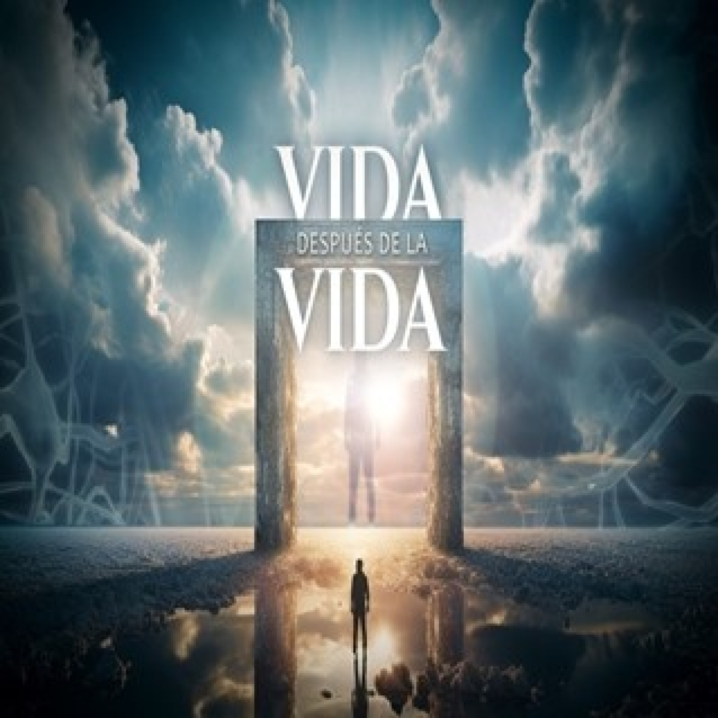 Cuarto Milenio 20×06 (13/10/2024): Vida después de la vida