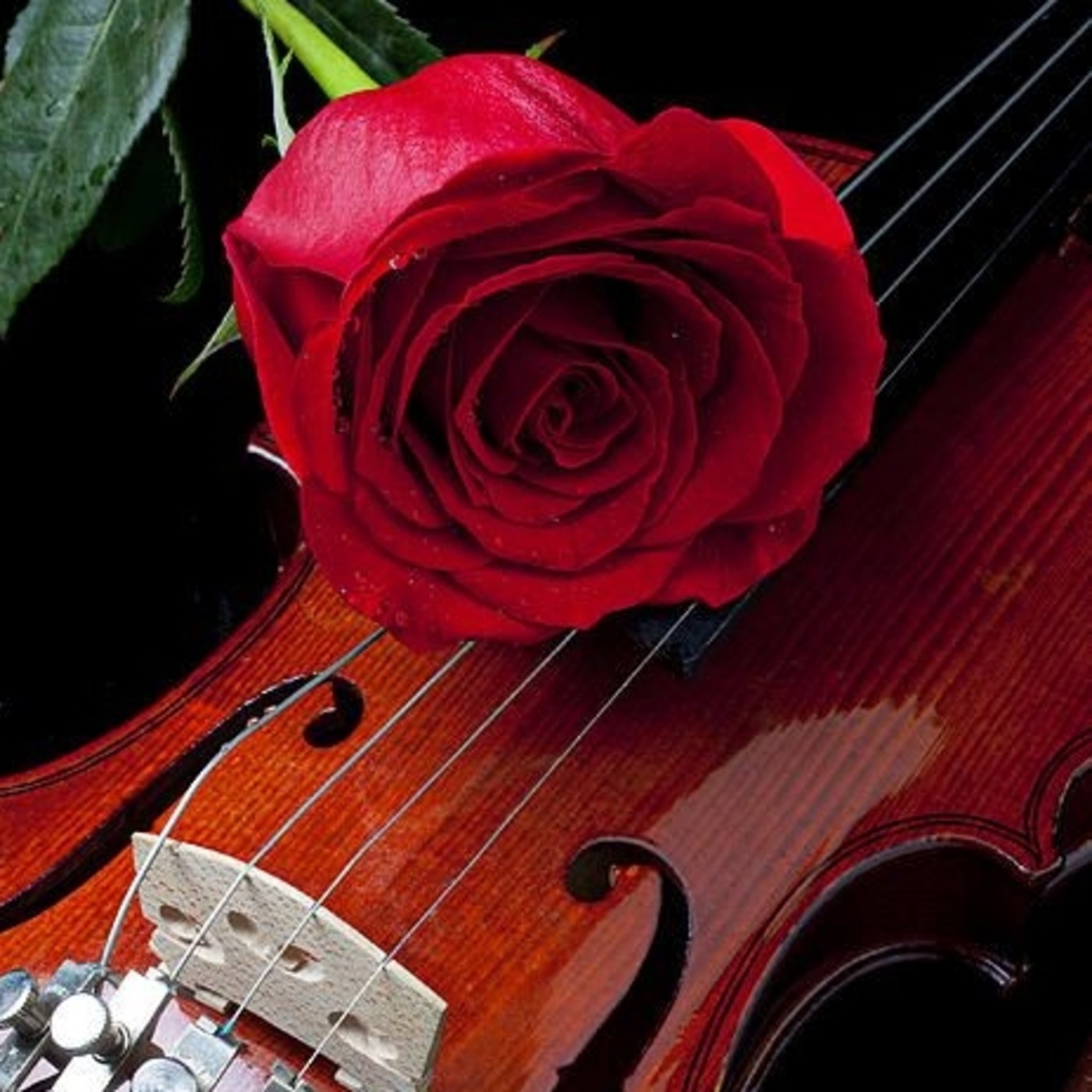 Musica para el espiritu