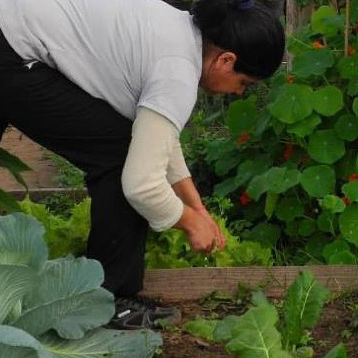 Podcast de Soberanía alimentaria y comuni