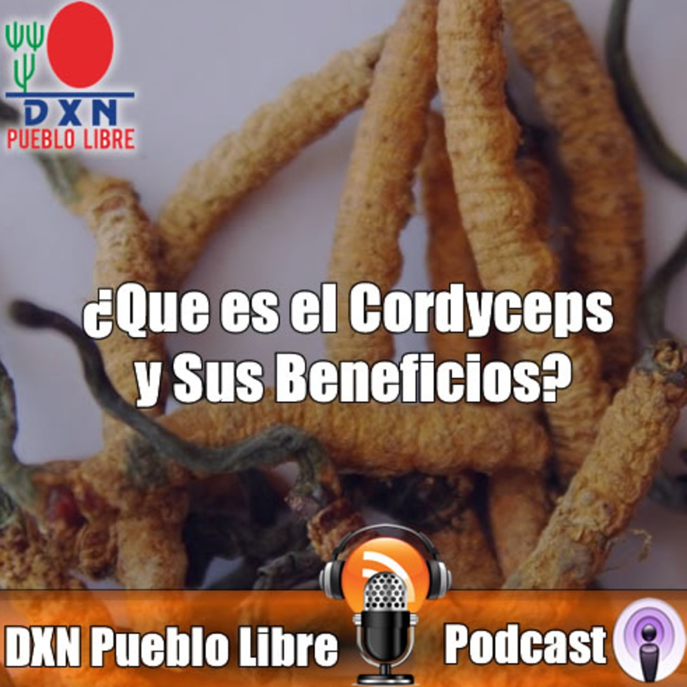DXN Pueblo Libre Podcast 1