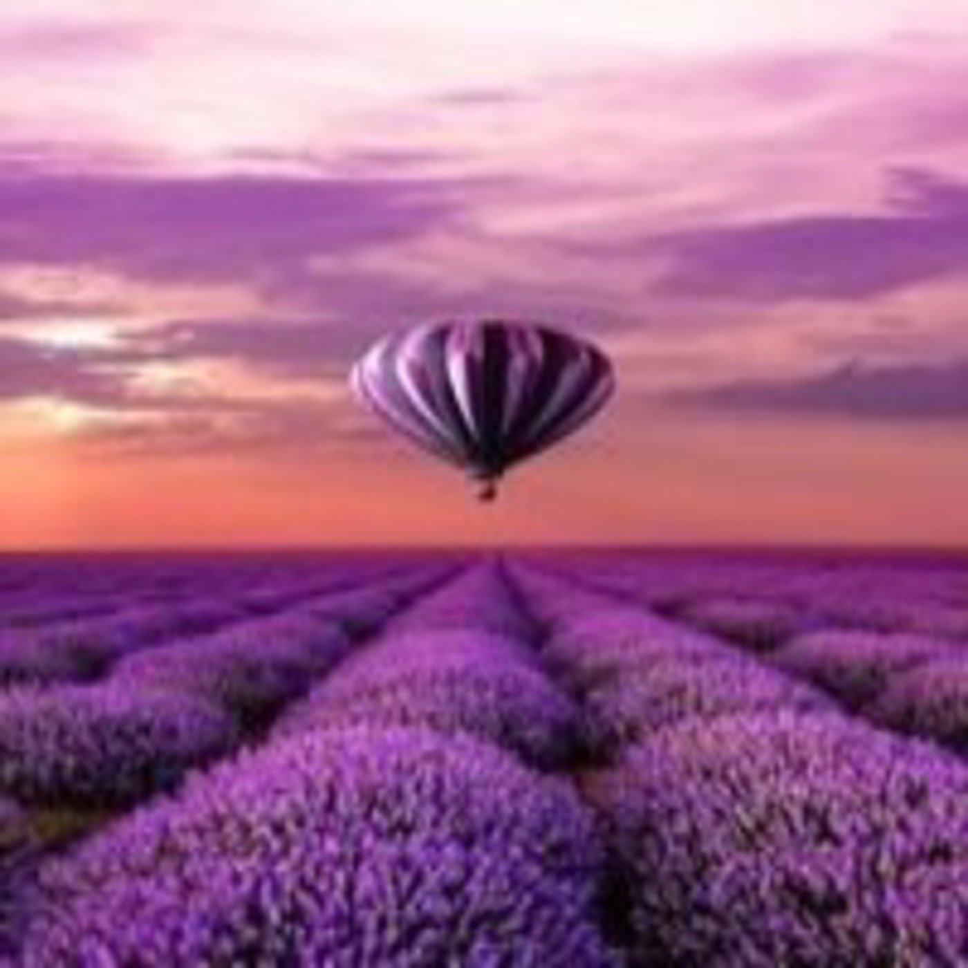 Eliza Cavazos (Lifecoaching)