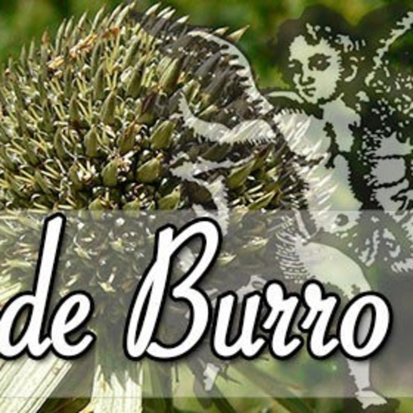 El Angel de tu Salud - ESPINA DE BURRO